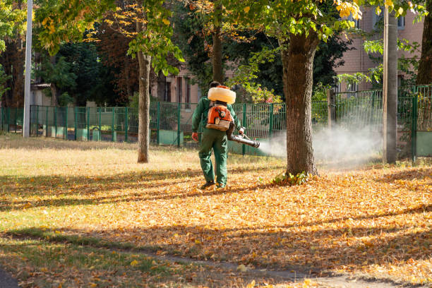 Best Flea Control Services  in Brooklyn, IN